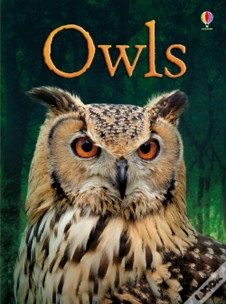 Capa do artigo Owls