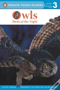 Capa do artigo Owls