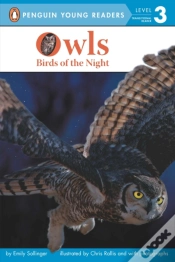 Capa do artigo Owls