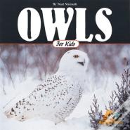 Owls For Kids