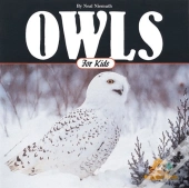 Owls For Kids