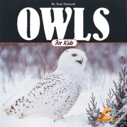 Capa do artigo Owls For Kids
