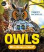 Owls - Preview
