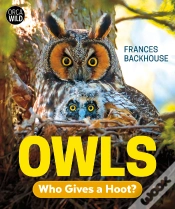 Capa do artigo Owls