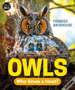 Capa do artigo Owls