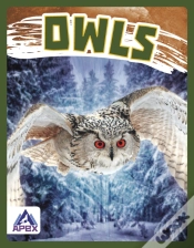 Capa do artigo Owls
