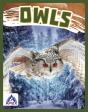 Owls - Preview
