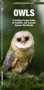 Owls - Preview