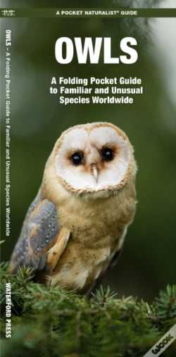 Capa do artigo Owls