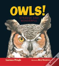Owls!