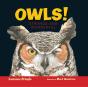 Owls! - Preview