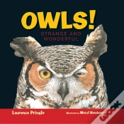 Capa do artigo Owls!