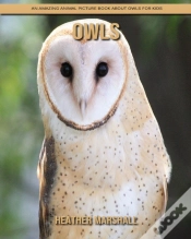 Capa do artigo Owls