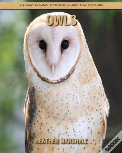 Capa do artigo Owls