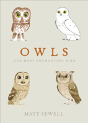 Owls - Preview