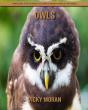 Owls - Preview