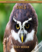 Capa do artigo Owls