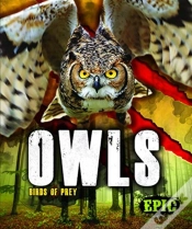 Capa do artigo Owls