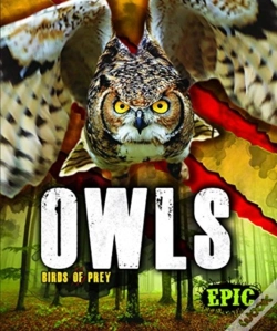 Capa do artigo Owls