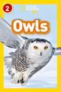 Owls - Preview