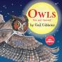Owls (New & Updated) - Preview