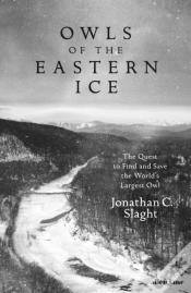 Capa do artigo Owls Of The Eastern Ice