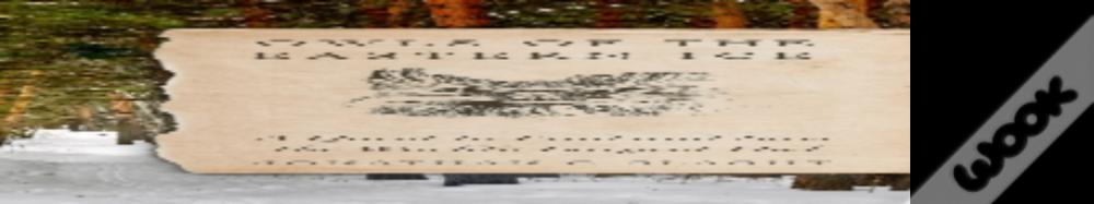 Owls Of The Eastern Ice