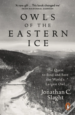 Capa do artigo Owls Of The Eastern Ice