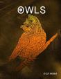 Owls: Owls - This Book Is A Collection O - Preview