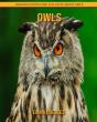Owls - Preview