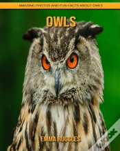 Capa do artigo Owls