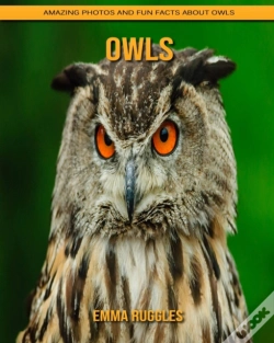 Capa do artigo Owls