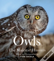 Capa do artigo Owls
