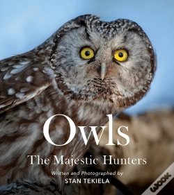 Capa do artigo Owls