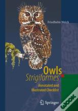 Owls (Strigiformes)