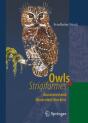 Owls (Strigiformes) - Preview