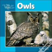 Capa do artigo Owls