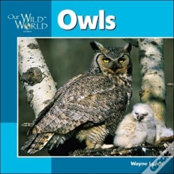 Capa do artigo Owls