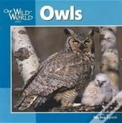 Capa do artigo Owls