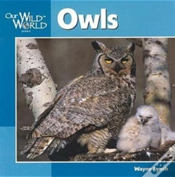 Capa do artigo Owls