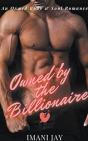 Owned By The Billionaire - Preview