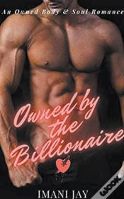 Capa do artigo Owned By The Billionaire