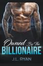 Owned By The Billionaire - Preview