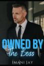 Owned By The Boss - Preview