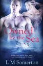 Owned By The Sea - Preview