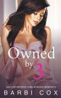Owned By Three - Preview
