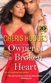 Capa do artigo Owner Of A Broken Heart