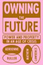 Owning The Future - Preview