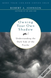 Capa do artigo Owning Your Own Shadow