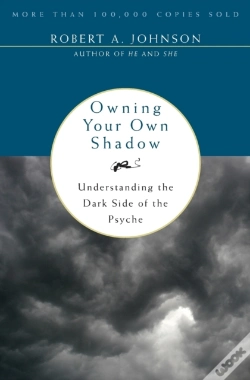 Capa do artigo Owning Your Own Shadow